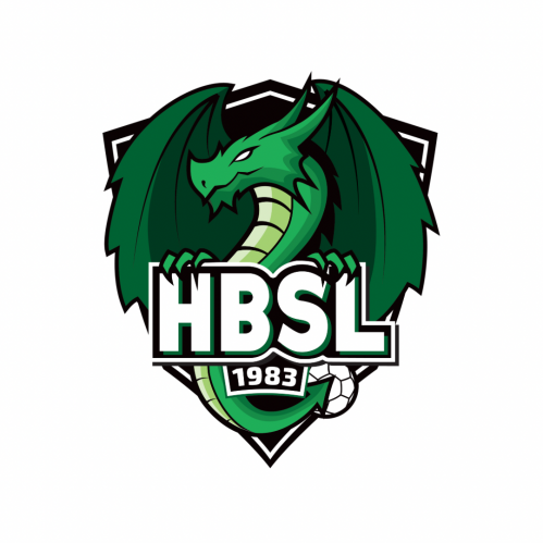 Logo Handball Sainte Luce sur Loire